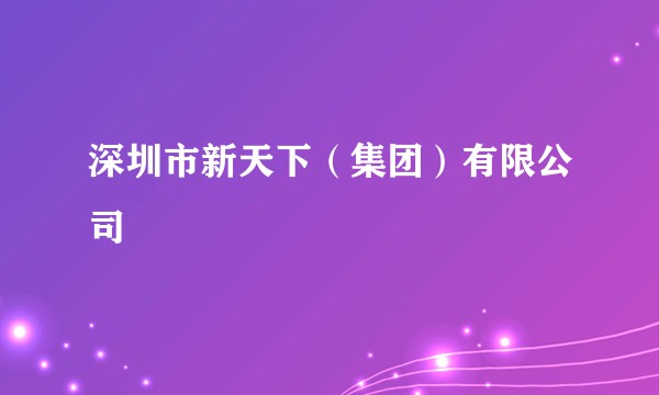 深圳市新天下（集团）有限公司