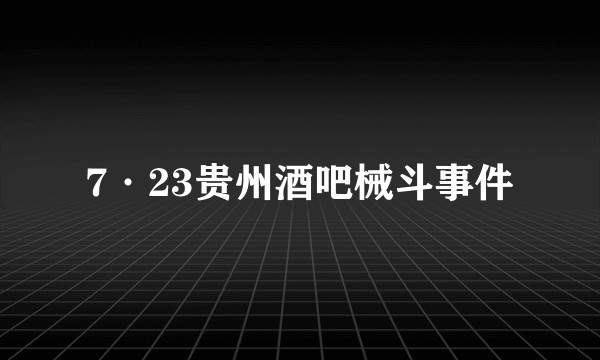 7·23贵州酒吧械斗事件
