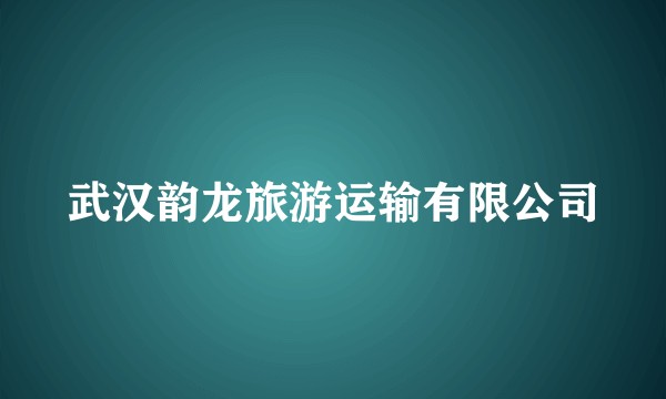 武汉韵龙旅游运输有限公司