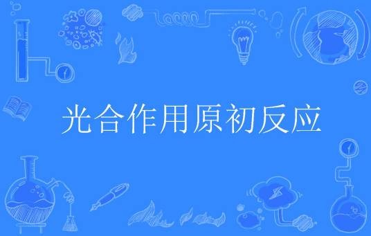 光合作用原初反应