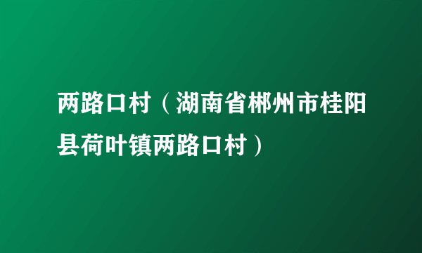 两路口村(湖南省郴州市桂阳县荷叶镇两路口村)
