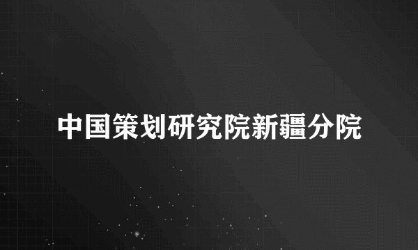 中国策划研究院新疆分院