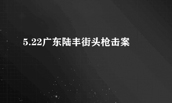 5.22广东陆丰街头枪击案