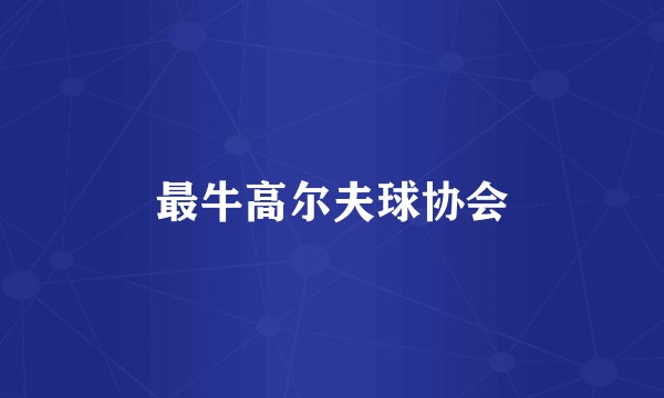 最牛高尔夫球协会