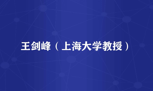 王剑峰（上海大学教授）