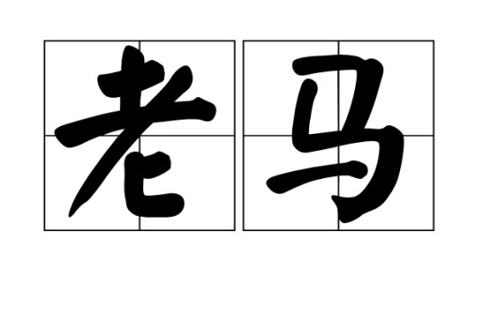 老马(汉语词汇)