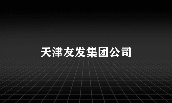 天津友发集团公司