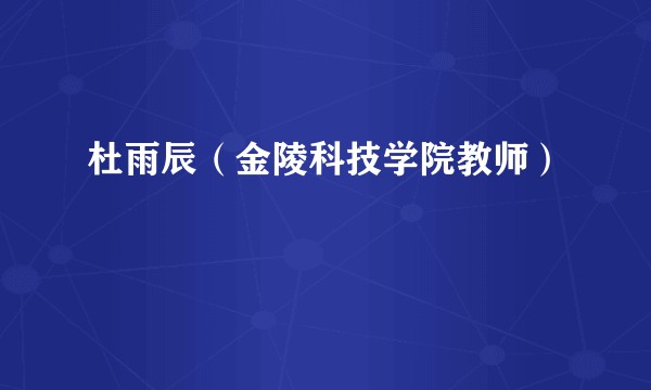杜雨辰(金陵科技学院教师)