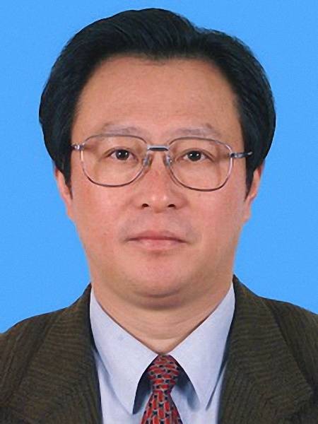 陈勇(中国工程院院士,能源与环境工程技术专家)
