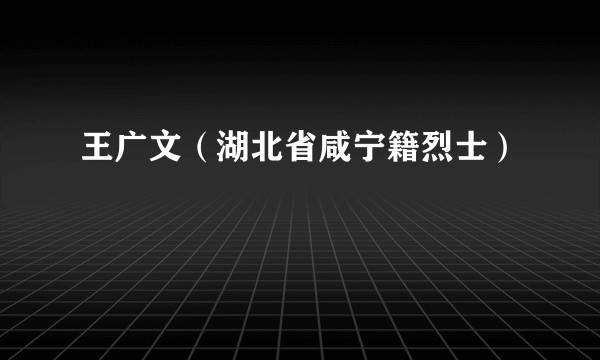王广文(湖北省咸宁籍烈士)