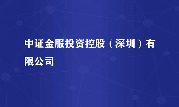 中证金服投资控股(深圳)有限公司