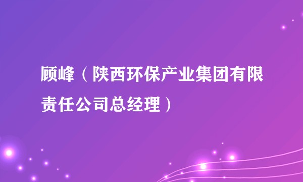 顾峰（陕西环保产业集团有限责任公司总经理）