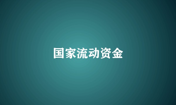 国家流动资金