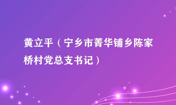 黄立平（宁乡市菁华铺乡陈家桥村党总支书记）