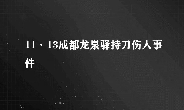 11·13成都龙泉驿持刀伤人事件