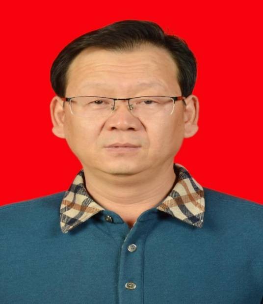 杨小强(陕西省渭南市大荔县人民政府副县长)