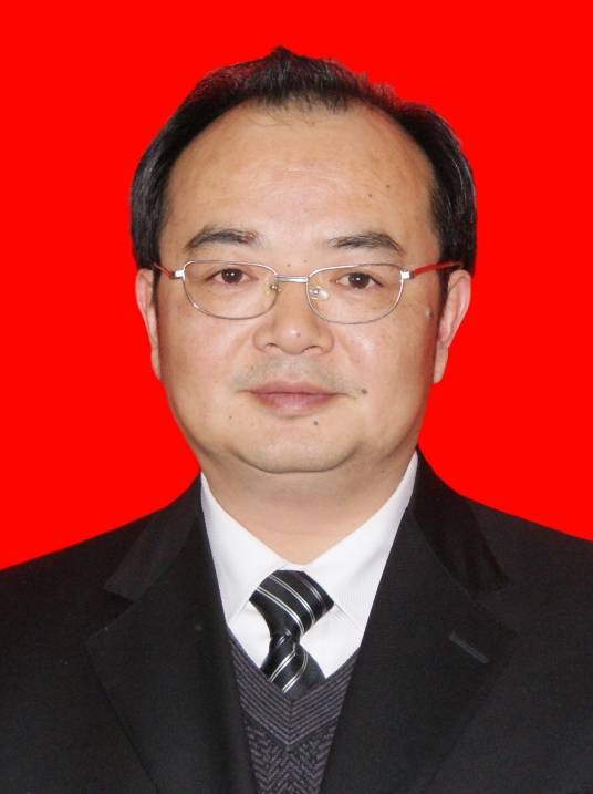 岳强(遂宁市船山区政府副区长)