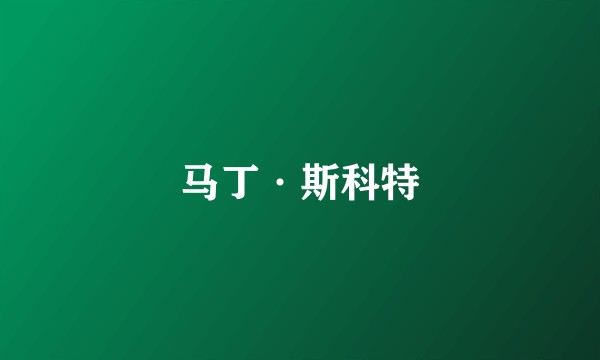 马丁·斯科特
