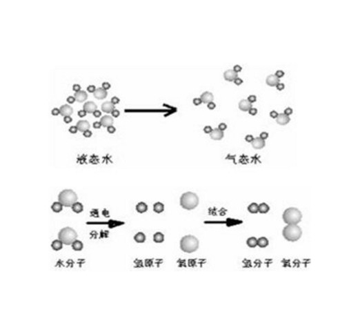 分子和原子(化学术语)