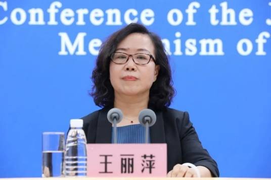 王丽萍(中国疾控中心传染病管理处综合业务室主任)