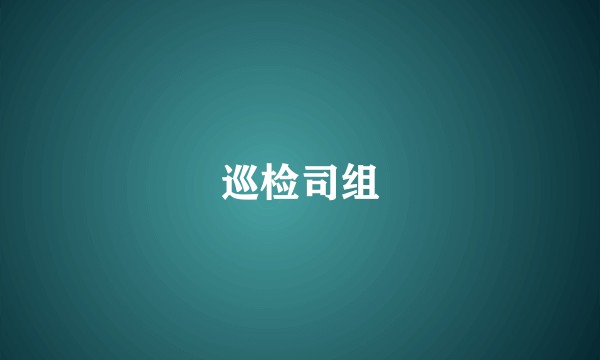 巡检司组