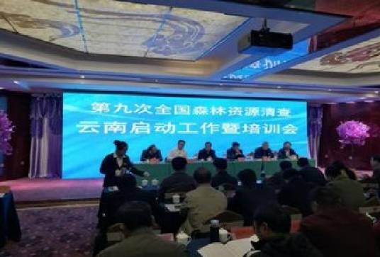 森林连续清查