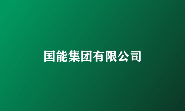 国能集团有限公司
