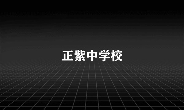 正紫中学校