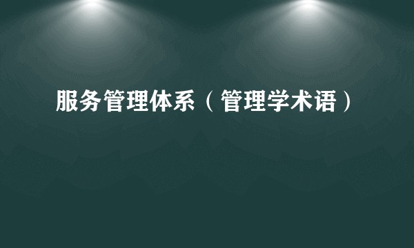 服务管理体系（管理学术语）