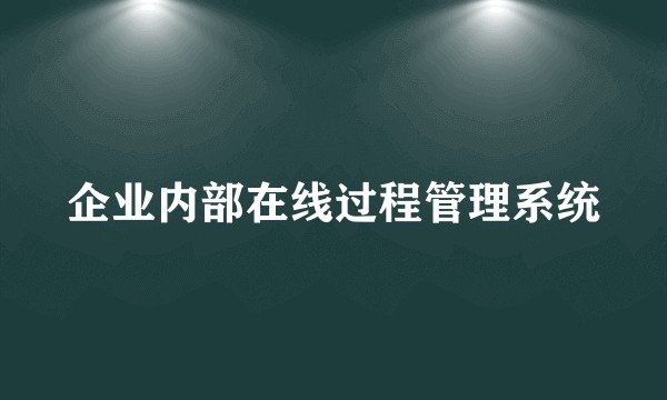 企业内部在线过程管理系统