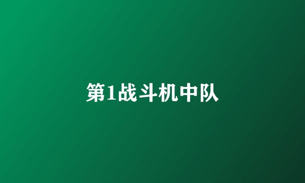 第1战斗机中队