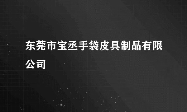 东莞市宝丞手袋皮具制品有限公司
