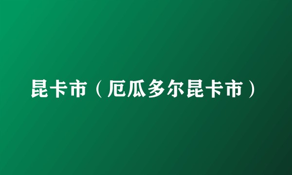 昆卡市（厄瓜多尔昆卡市）