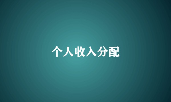 个人收入分配