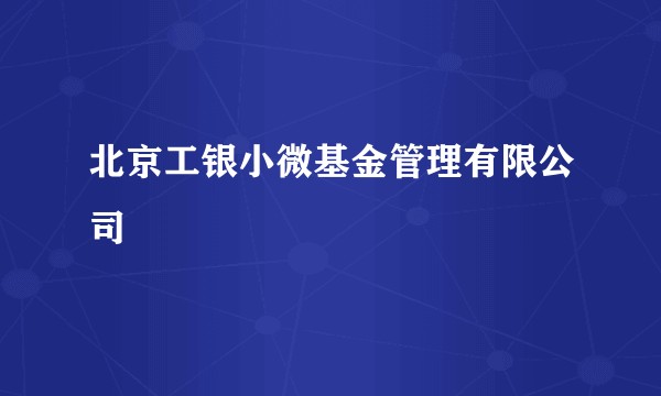 北京工银小微基金管理有限公司