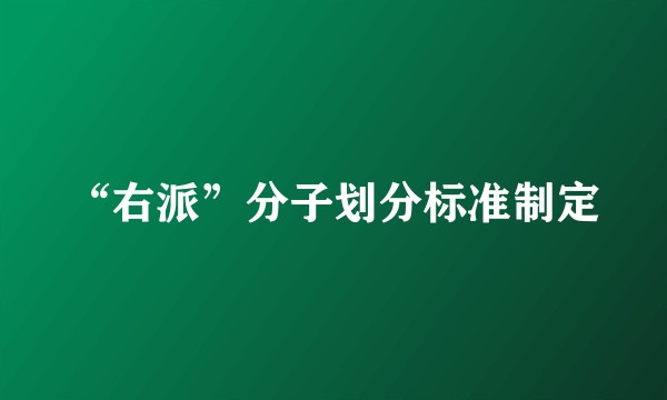 “右派”分子划分标准制定