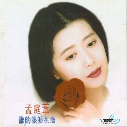 谁的眼泪在飞(孟庭苇的音乐专辑)