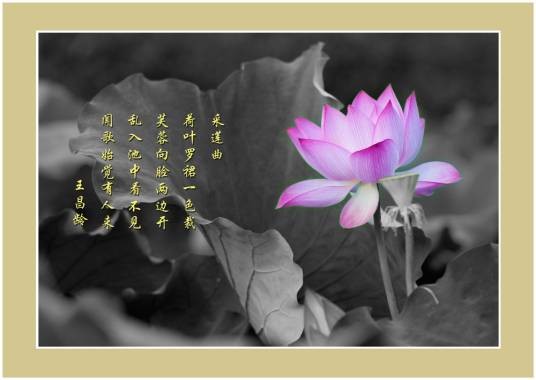 采莲曲（张籍诗作）