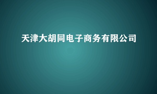 天津大胡同电子商务有限公司