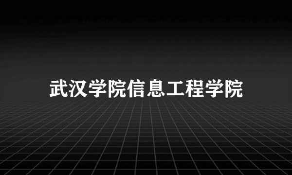 武汉学院信息工程学院