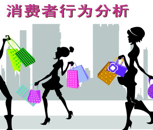 消费者行为（2010年中国市场出版社出版的图书）