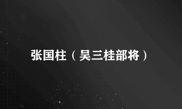 张国柱（吴三桂部将）