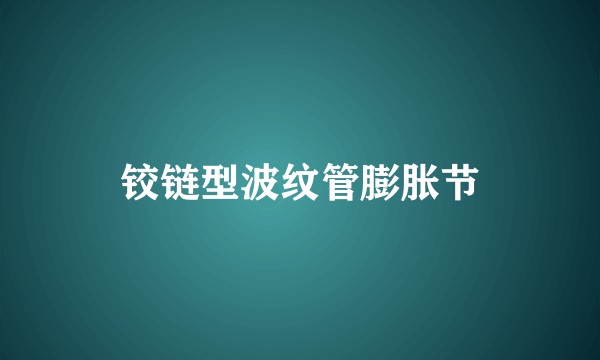 铰链型波纹管膨胀节