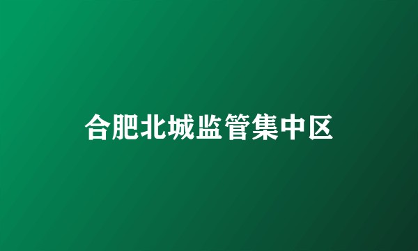 合肥北城监管集中区