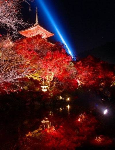 日本红叶