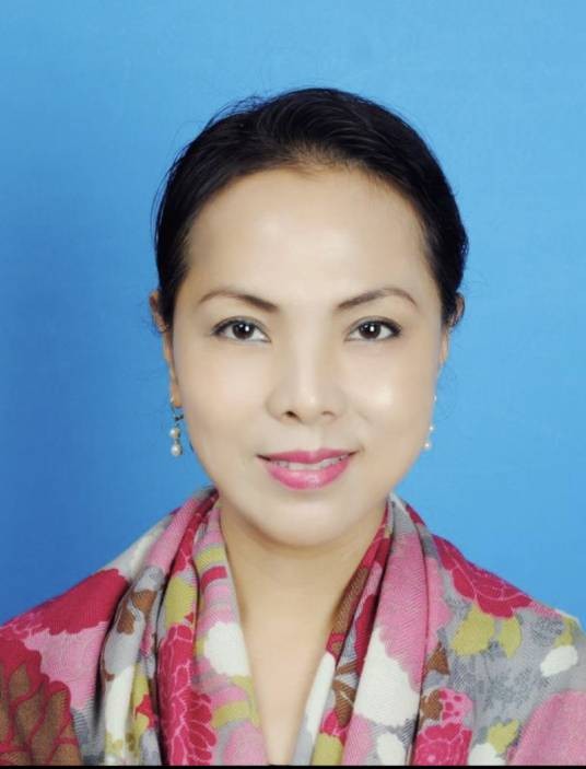 陈平(暨南大学新闻与传播学院教授)