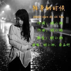 转身的时候（贱小翊演唱歌曲）