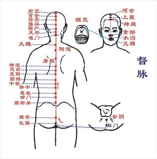 人体经脉