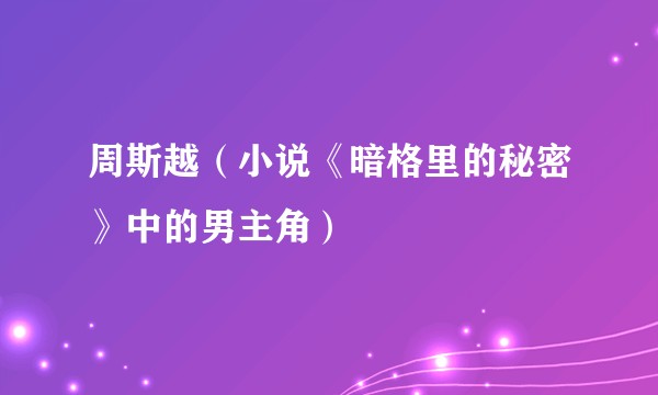 周斯越（小说《暗格里的秘密》中的男主角）