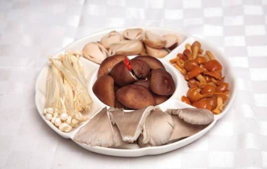 食用菌营养